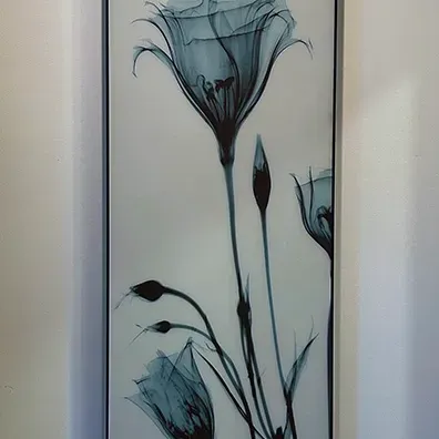Sale Photo Thumbnail #188: Framed X-ray photograph print of flowers by Albert Koetsier, presented in a slim black frame.