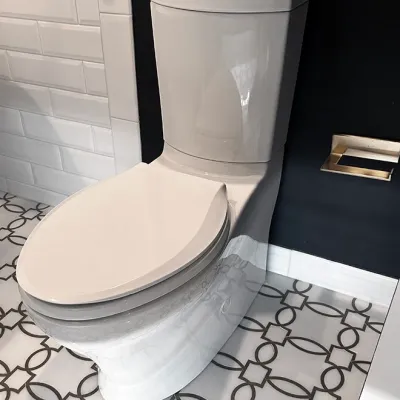 Sale Photo Thumbnail #177: Modern dual-flush ceramic toilet in a beige or light greige finish with a skirted base design.