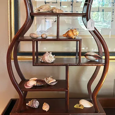 Sale Photo Thumbnail #232: Vintage Chinese-style dark wood curio shelf unit, featuring an asymmetrical vase-shaped frame and displaying a collection of various sea shells.