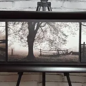 3-Panel B&W "Frosted View" Scene 