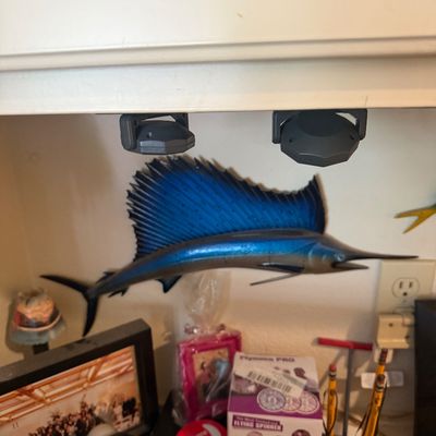 Sale Photo Thumbnail #25: Mounted sailfish trophy replica with vibrant blue fins displayed on a shelf among assorted knick-knacks and novelties.