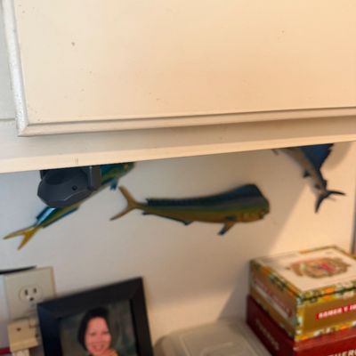 Sale Photo Thumbnail #24: Collection of decorative fish wall sculptures mounted under a kitchen cabinet, alongside cigar boxes and framed decor.