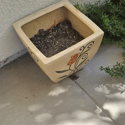 Sale Photo Thumbnail #107: Square tan ceramic planter with painted floral vine details, filled with soil.