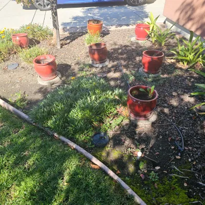 Sale Photo Thumbnail #111: Collection of red glazed ceramic garden pots arranged in a landscape bed, shown with connected drip irrigation lines.