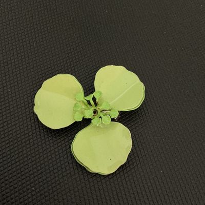 Sale Photo Thumbnail #172: Vintage light green/chartreuse enamel flower brooch pin featuring three large petals and detailed center stamen. Back side shows a standard pin stem and clasp mechanisms along with light wear and paint loss to the reverse finish. Measures approximately 2.