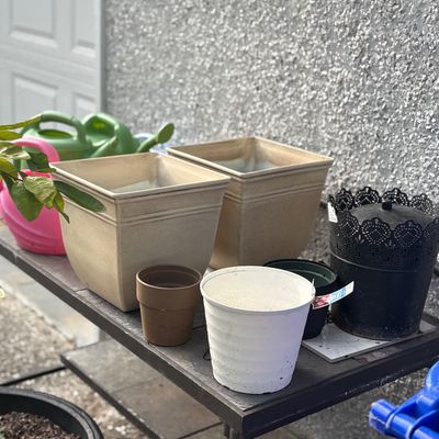 Sale Photo Thumbnail #116