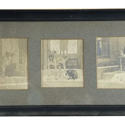Sale Photo Thumbnail #151