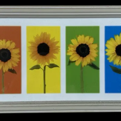 Sale Photo Thumbnail #148