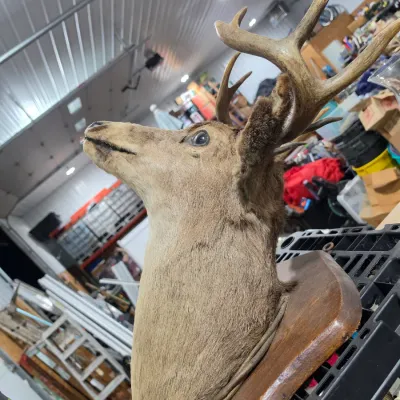 Sale Photo Thumbnail #103