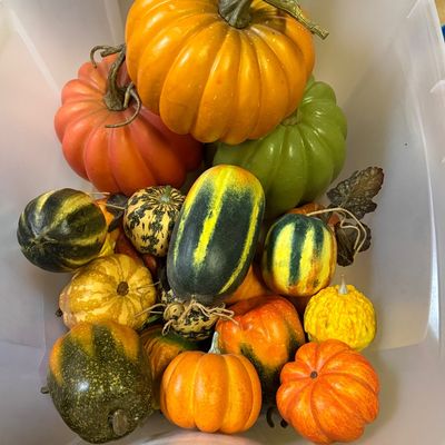 Sale Photo Thumbnail #35: Crafts and seasonal items 