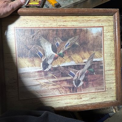Sale Photo Thumbnail #412