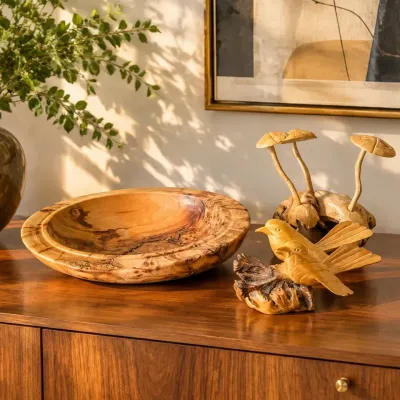 New Zealand Silver Beech Burr Wood Bowl with Carved Birds & Mushroom Sculptures 