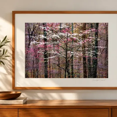 Christopher Burkett – “Pink and White Dogwoods, Kentucky” (1991) | Fine Art Photograph