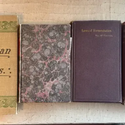 Antique Wine & Viticulture Books  18711903  Fermentation, Ancient Wines & American Vines