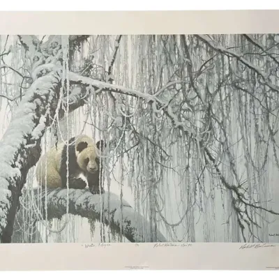 “Winter Filigree”  Giant Panda Signed Print 709/9600 - Robert Bateman - Unframed