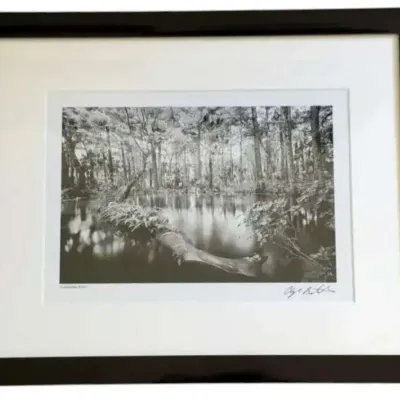 Giclee Print By Clyde Butcher Signed 2008 (12x 15)
