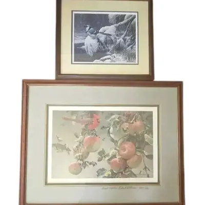 Signed And Numbered East Coast Birds