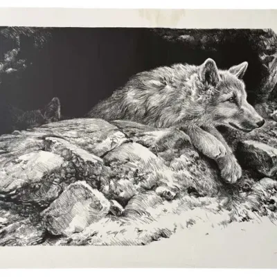 “Arctic Wolf Pups” By Seerey-Lester Signed Artist Proof 17/23 - Unframed