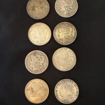 8- Morgan Silver Dollars Preowned LOT 2