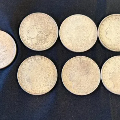 7-Morgan Silver Dollars
