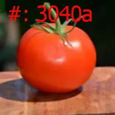 Sale Photo Thumbnail #671