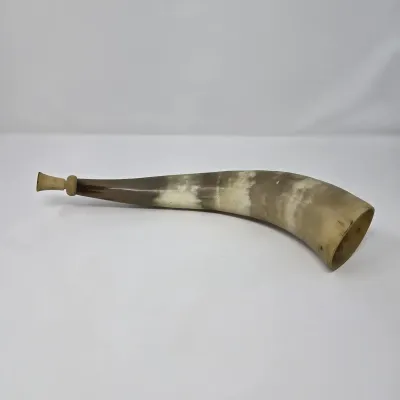 Vintage Blowing Horn