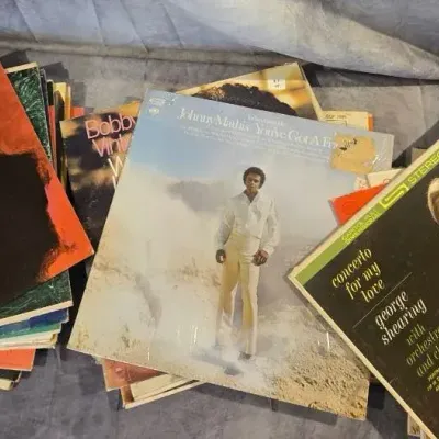 Mystery Vinyl Record Lot