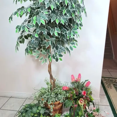 Sale Photo Thumbnail #56: Assortment of Fake and Silk Plants 