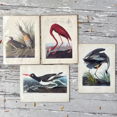 Sale Photo Thumbnail #88