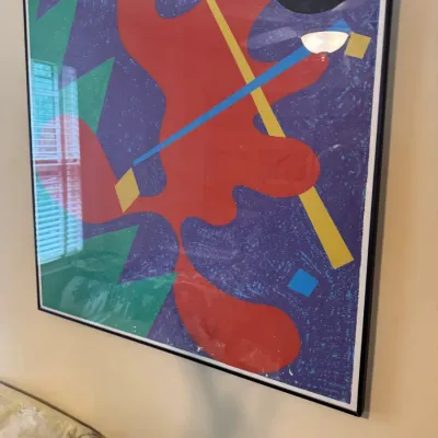 Framed colorful abstract art print featuring geometric and organic shapes, presented in a thin black metal frame.