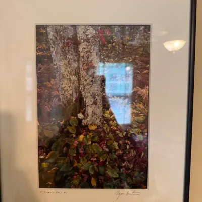 Framed nature photograph titled "Wisconsin Fall #1," featuring a close-up of a tree trunk with autumn foliage, signed by the...