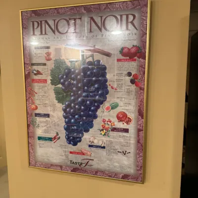 Framed Pinot Noir wine tasting poster by Taste Tour, housed in a thin gold metal frame.