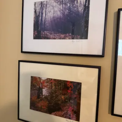Pair of signed framed nature photographs featuring forest and autumn landscape scenes in thin black frames.