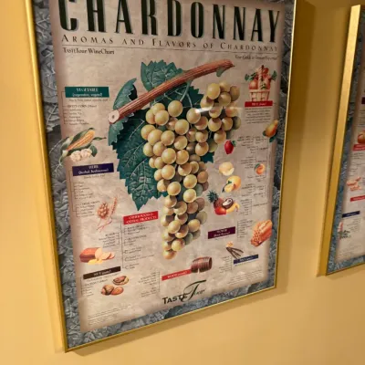 Framed TasteTour Chardonnay wine chart poster displaying aromas and flavors, housed in a thin gold metal frame.