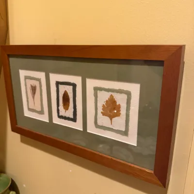 Framed botanical wall art featuring three pressed leaves on handmade paper, housed in a medium wood frame.