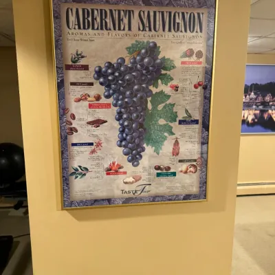 Framed Cabernet Sauvignon aromas and flavors chart poster by Taste Tour in a thin gold metal frame.