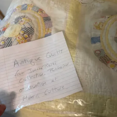 Handmade antique Dresden Plate pattern quilts, packaged in plastic protective bags with descriptive provenence note.