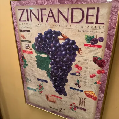 Framed 'Aromas and Flavors of Zinfandel' WineChart educational art print with a thin gold-tone metal frame.