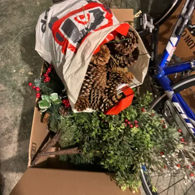 Cardboard box containing artificial holiday greenery, red berry sprigs, and a reusable bag filled with large pinecones.