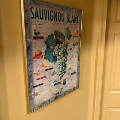 Framed TasteTour Sauvignon Blanc wine tasting chart poster in a gold-tone metal frame.