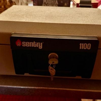 Sentry safe