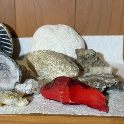 Sale Photo Thumbnail #120: Collection of rocks, minerals, and natural specimens, featuring a prominent piece of vibrant red slag glass, a sand dollar fossil, and an amethyst geode slice.