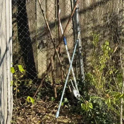 Sale Photo Thumbnail #504: Assorted long-handled outdoor tools, including an adjustable extension pole and various garden stakes, leaning against a chain-link fence.