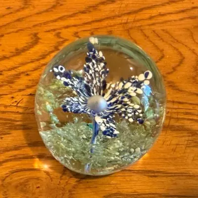 Sale Photo Thumbnail #30: Vintage glass paperweight featuring an encased blue and white starburst floral design resting on a wooden surface.