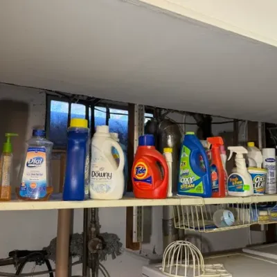 Sale Photo Thumbnail #388: Assorted household laundry and cleaning supplies lined up on a shelf, including Tide detergent, Downy fabric softener, and Dial hand soap.