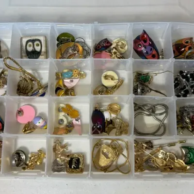 Sale Photo Thumbnail #62: Plastic organizer filled with vintage costume jewelry, featuring an assortment of owl-themed brooches, enamel pins, gold-tone chain necklaces, and stick pins.