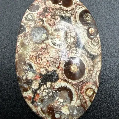 34ct Birds Eye Ryholite 