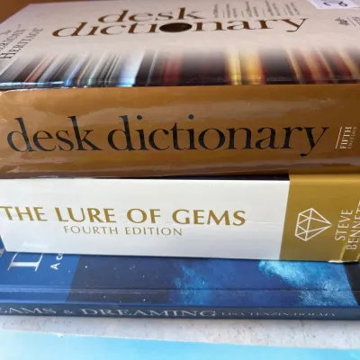 Stack of three hardcover reference and non-fiction books including The American Heritage Desk Dictionary Fifth Edition and The Lure of...