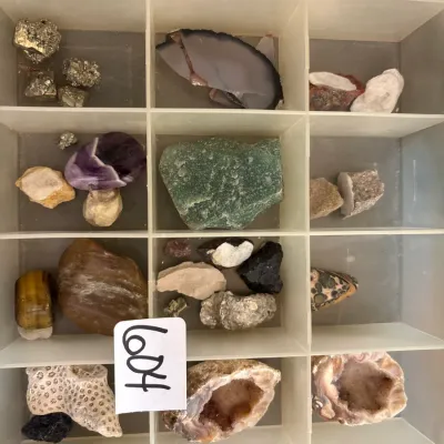 A collection of various rocks, minerals, and geodes sorted into a plastic compartment tray, including pyrite, amethyst, tiger's eye,...