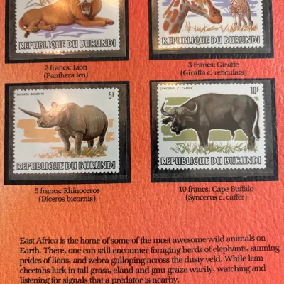 Set of four collectible Republic of Burundi postage stamps featuring African wildlife, including a lion, giraffe, rhinoceros, and Cape...